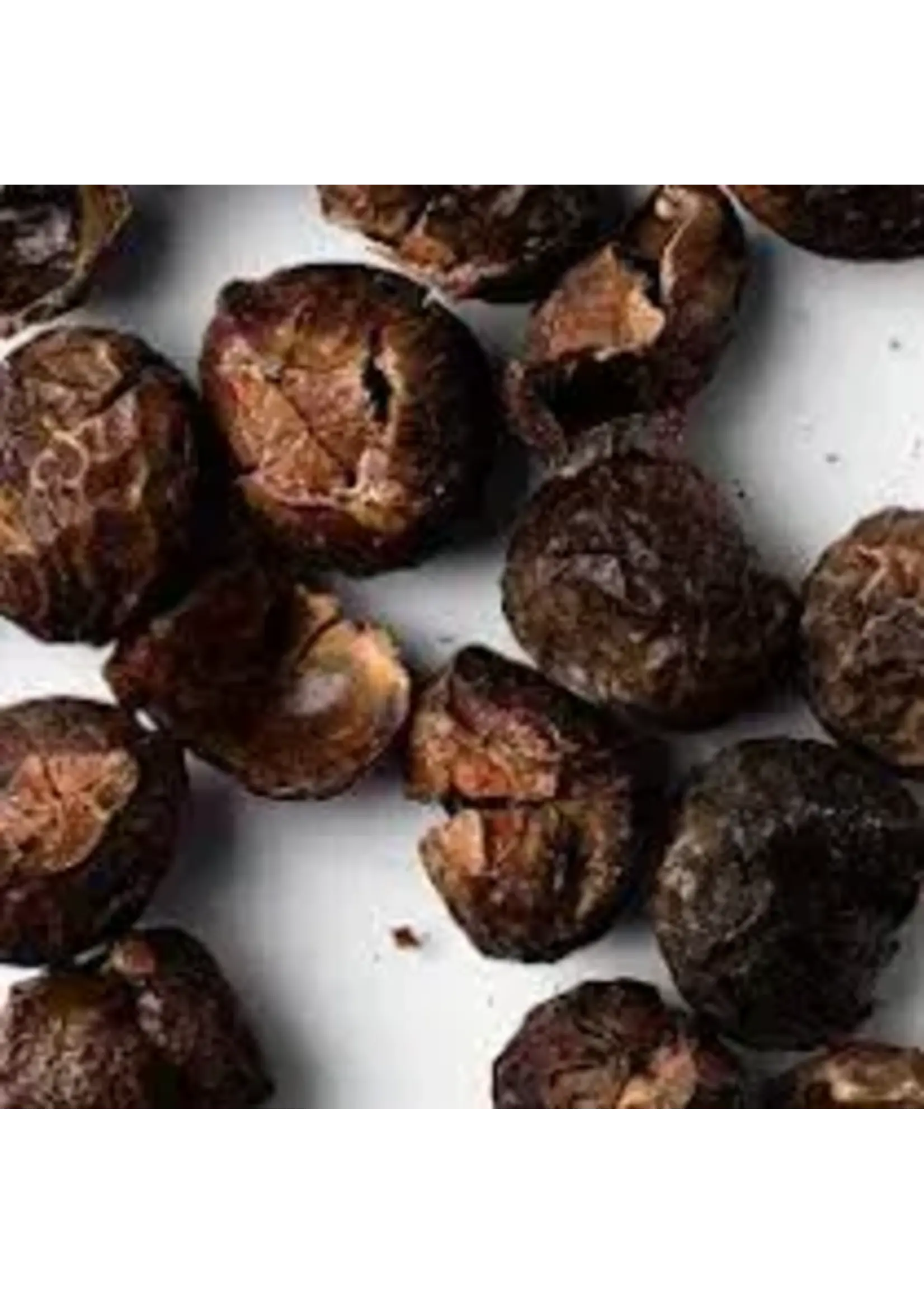 Soap Nuts