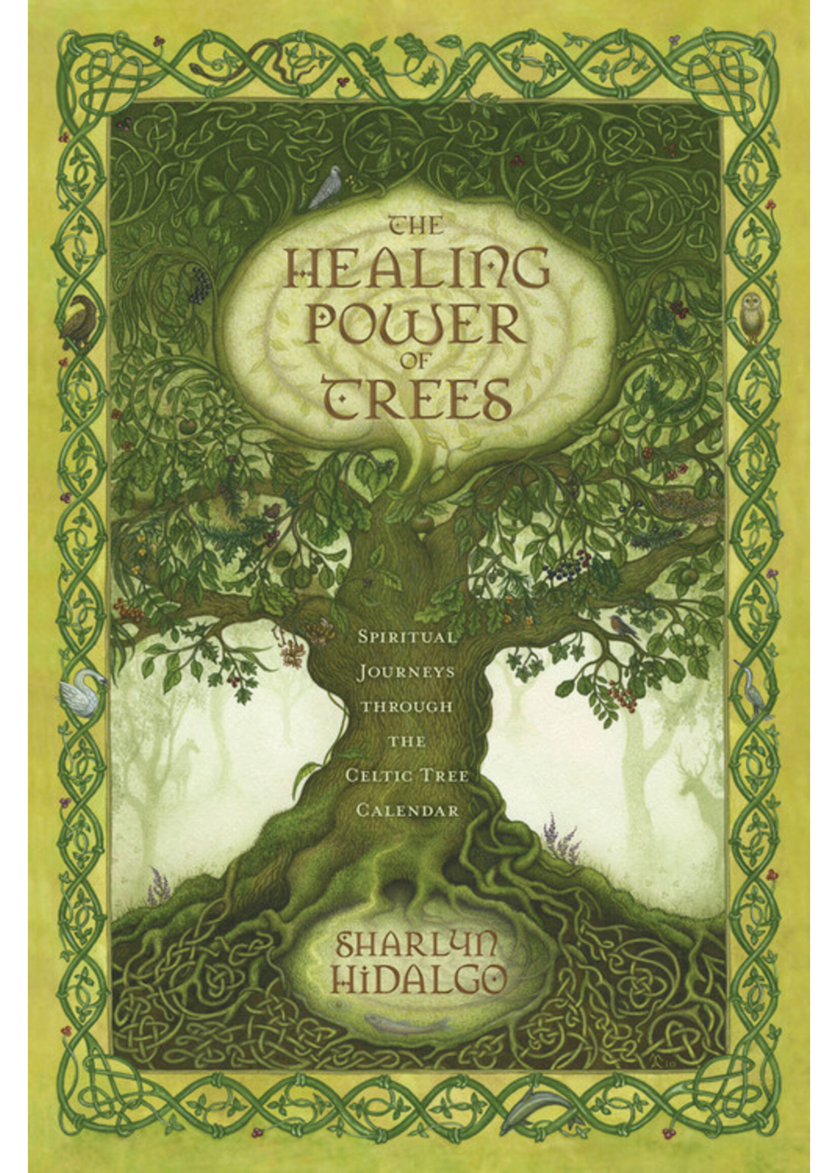 Healing Powers of Trees