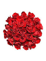 Roses red