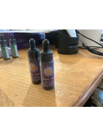 Alpine Aster | American Flower Essence