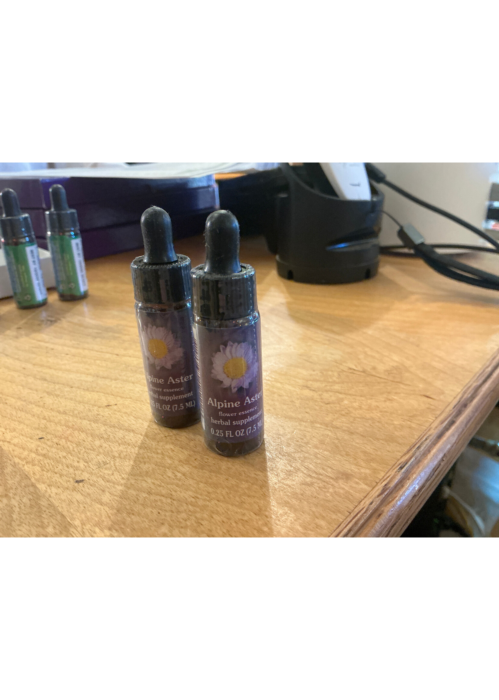 Alpine Aster | American Flower Essence