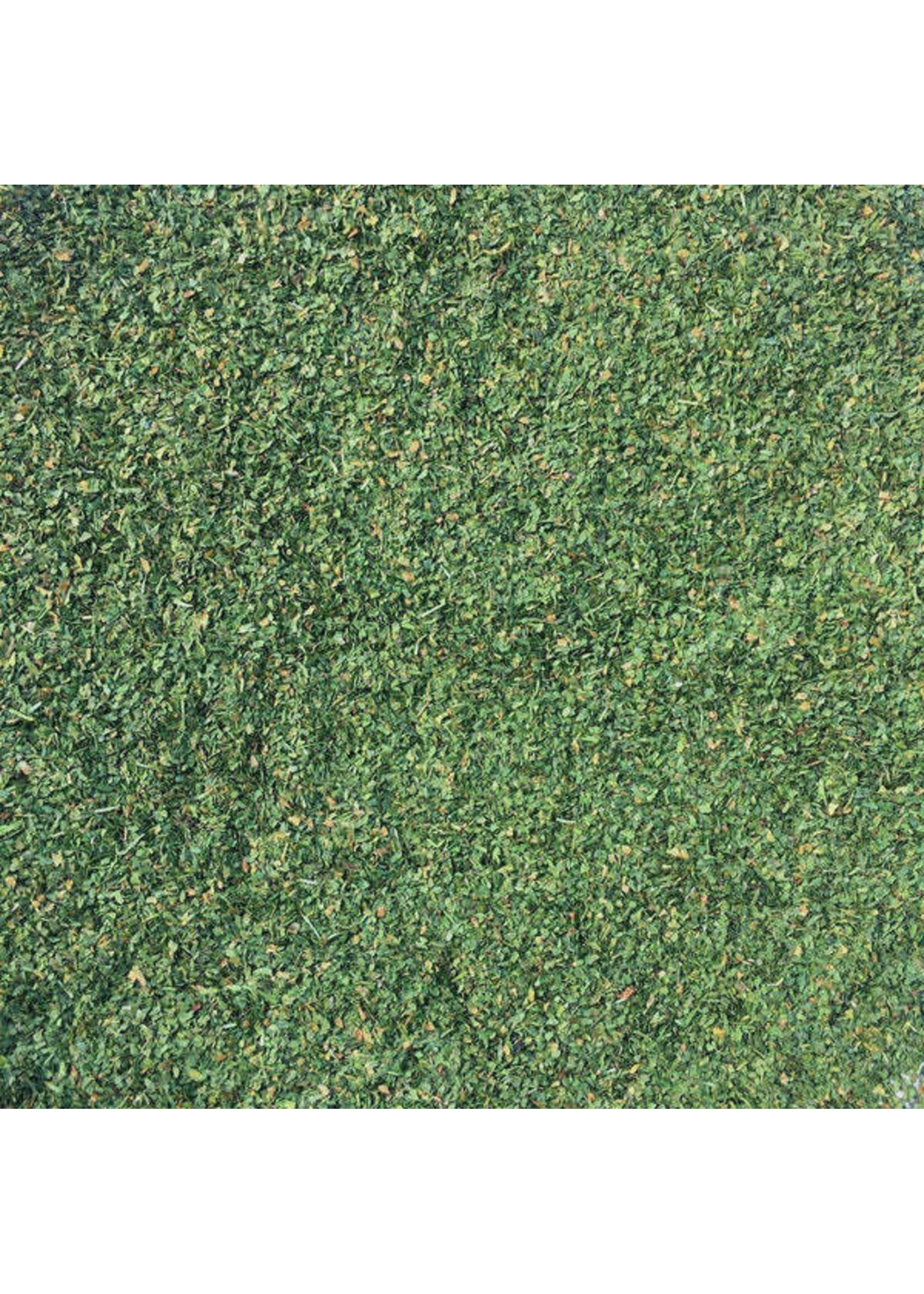 Cilantro Cut/Sifted Organic