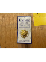 Casablanca Lily Essential Essences