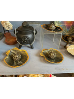 Shell trinket box