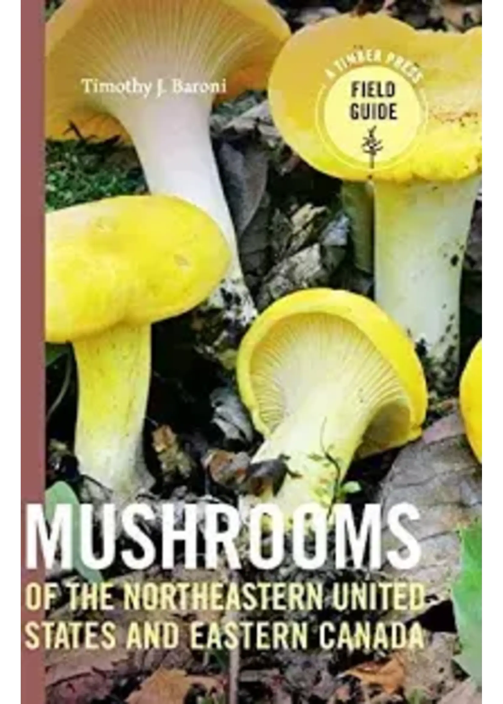 Mushrooms of the North East/ Eastern Canada