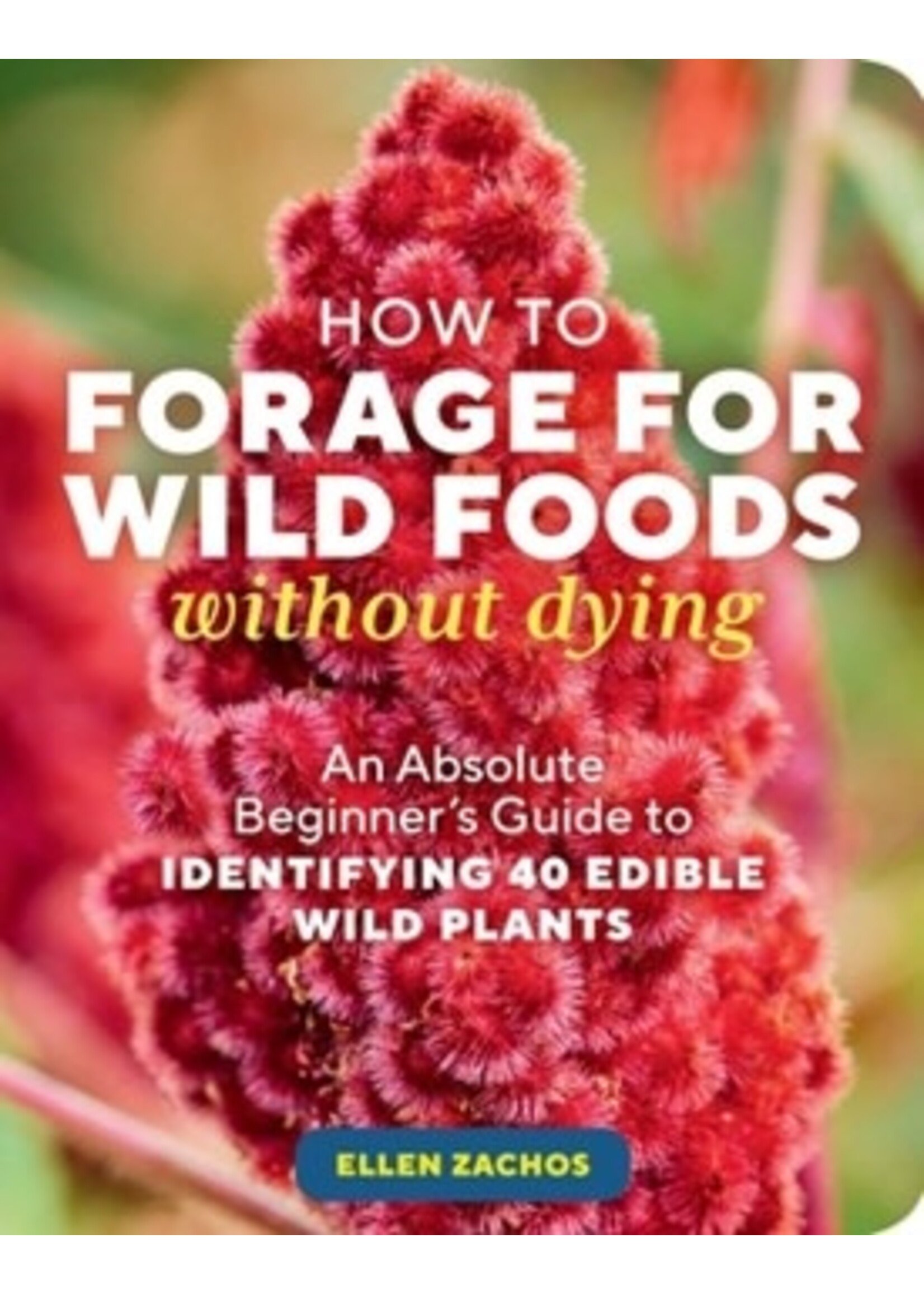 How to Forage for wild foods without Dying