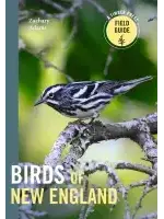 Birds of New England   Field Guide