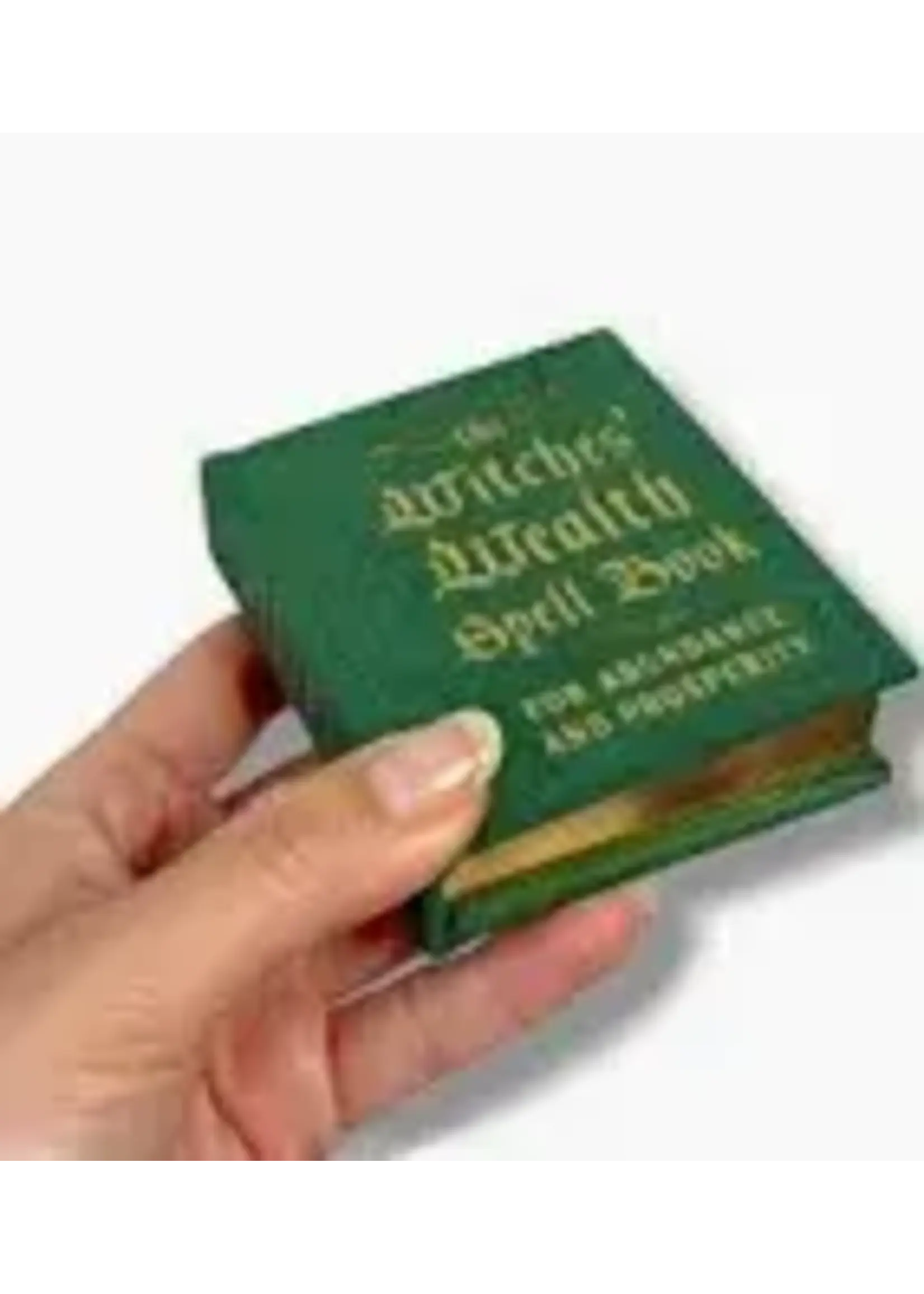 Witches'  Wealth Spell Book