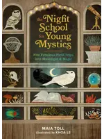 The Night School for Young Mystics