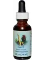 Rock Water Flower Essence