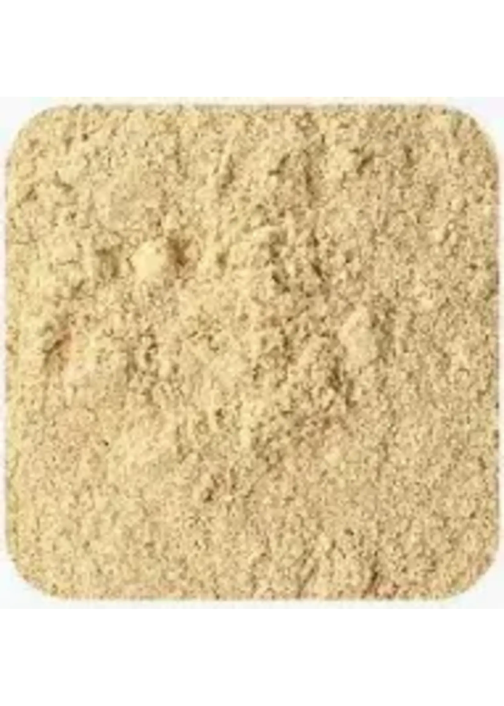 Lion's Mane Organic Powder
