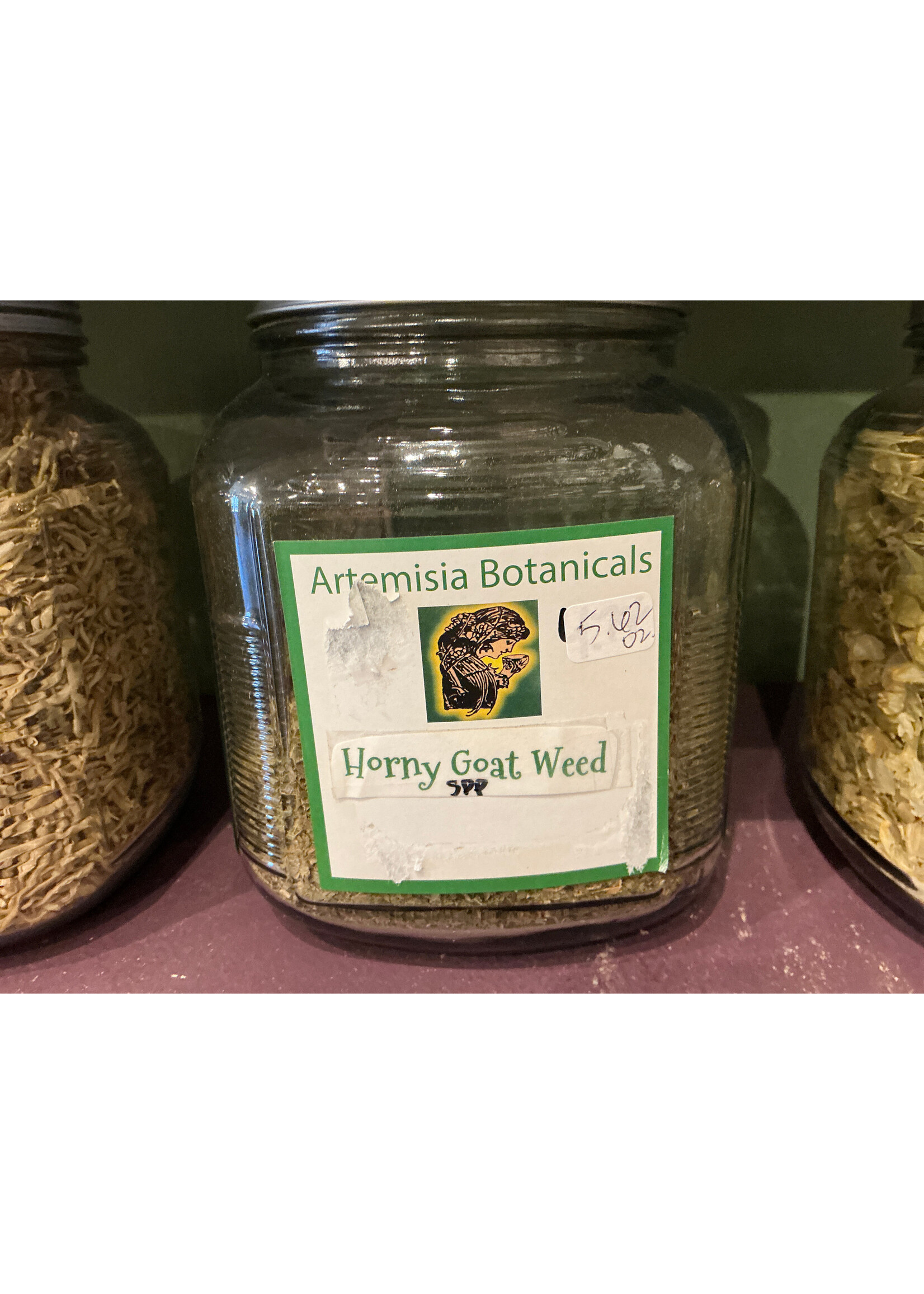 Horny goat weed spp