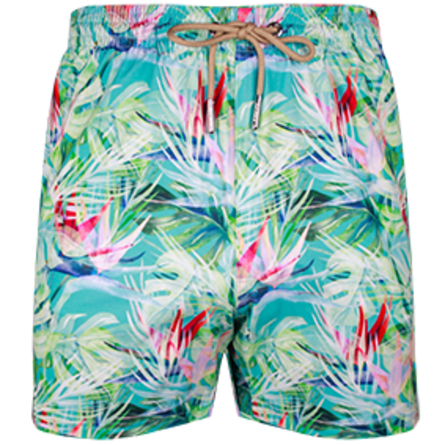 SWIMSHORT - CLASSIC CUT - BIRD OF PARADISE