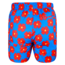 SWIMSHORT - CLASSIC CUT - BLUE AND RED FLOWERS