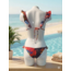 SWIMWEAR - BIKINI RUFLE - REVERSIBLE -  LOVE JUNGLE