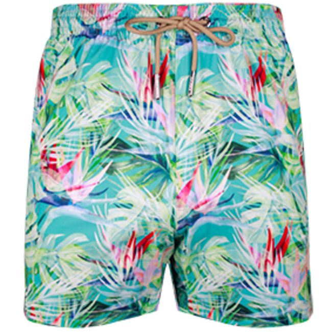 SWIMSHORT - CLASSIC CUT - BIRD OF PARADISE