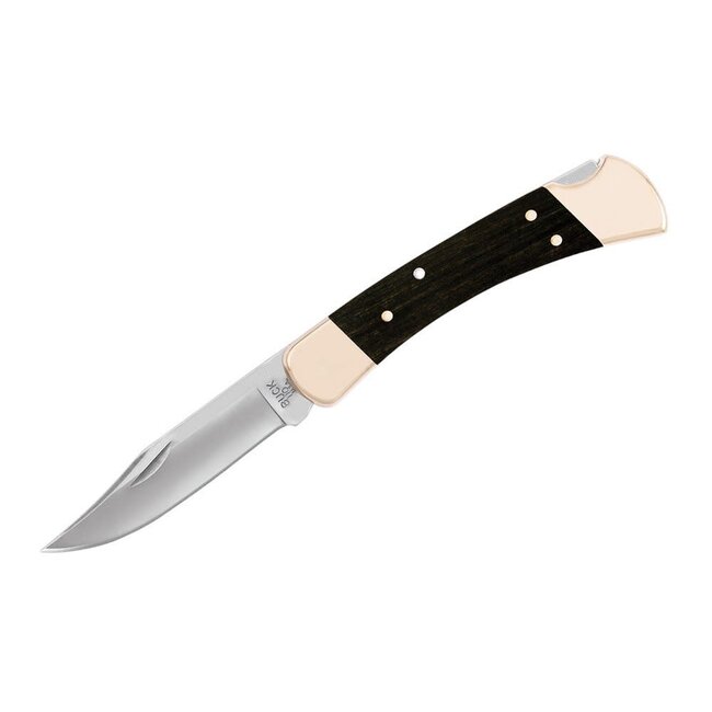 Buck 110 Folding Hunter Knife