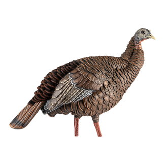 AVIAN-X Avian-X HDR Hen Decoy