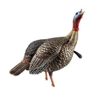 AVIAN-X Appelant Avian-X Hdr Jake