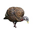 Avian-X LCD Feeder Hen Decoy