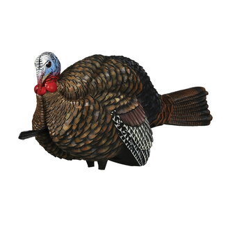 AVIAN-X Avian-X LCD Half-Strut Jake Decoy