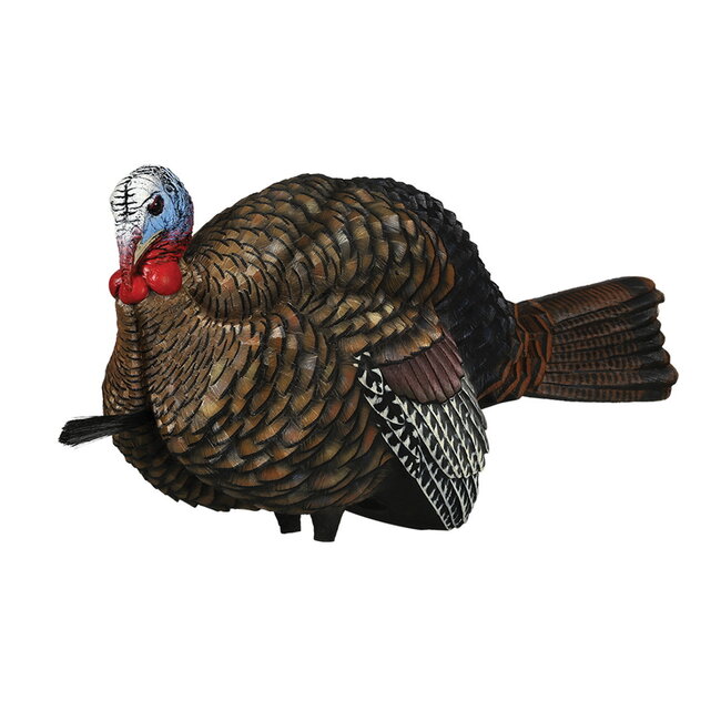 Avian-X LCD Half-Strut Jake Decoy