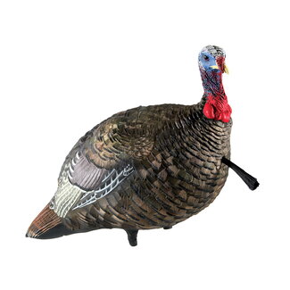 AVIAN-X Avian-X LCD Quarter-Strut Jake Decoy