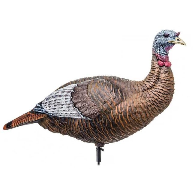 Appelant Flextone Thunder Chick Upright