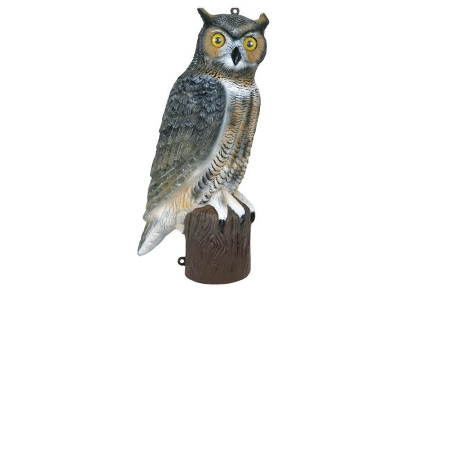 Appelant Hibou Hauteur De 21''