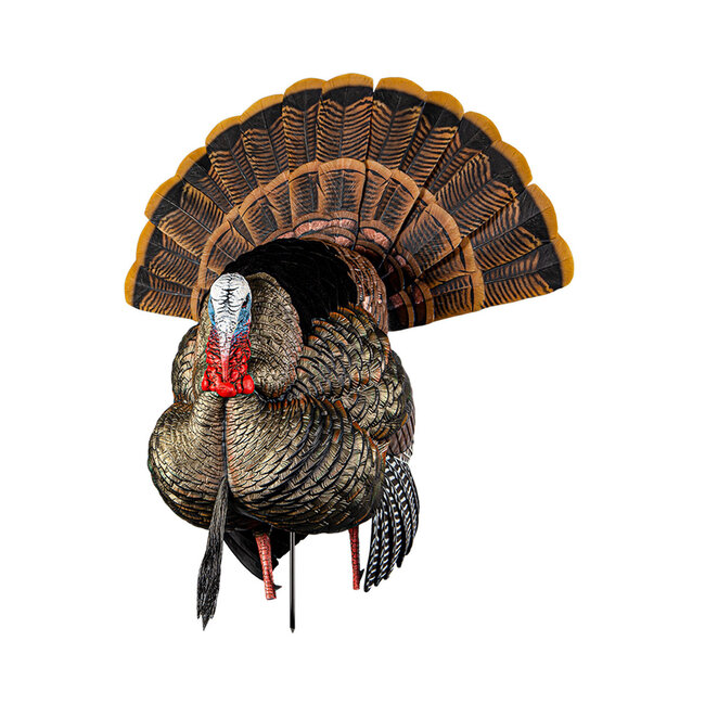 Appelant Avian-X Hdr Strutter Tom