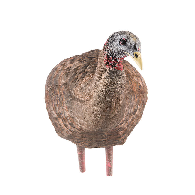 Avian-X LCD Breeder Hen Decoy