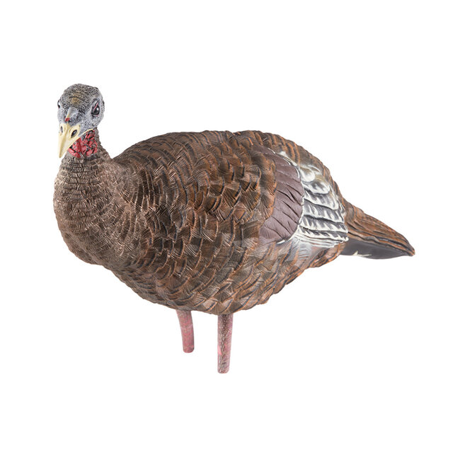 Appelant Avian-X Lcd Breeder Hen