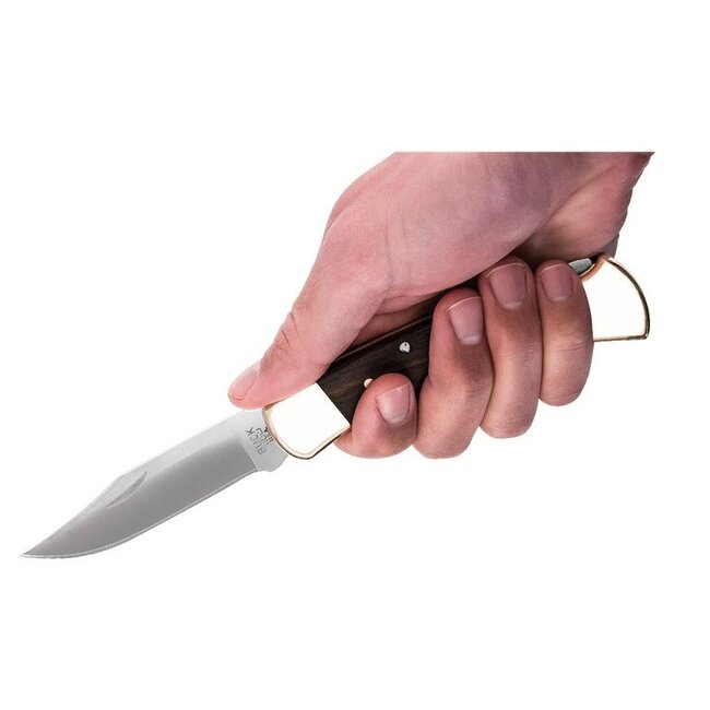 Buck 110 Folding Hunter Knife