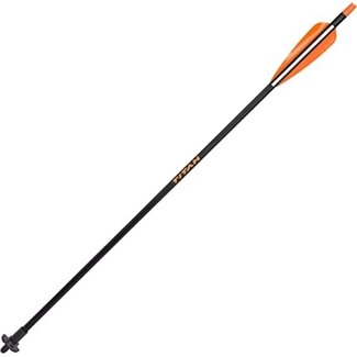 ALLEN Allen Crossbow Disarming Arrow