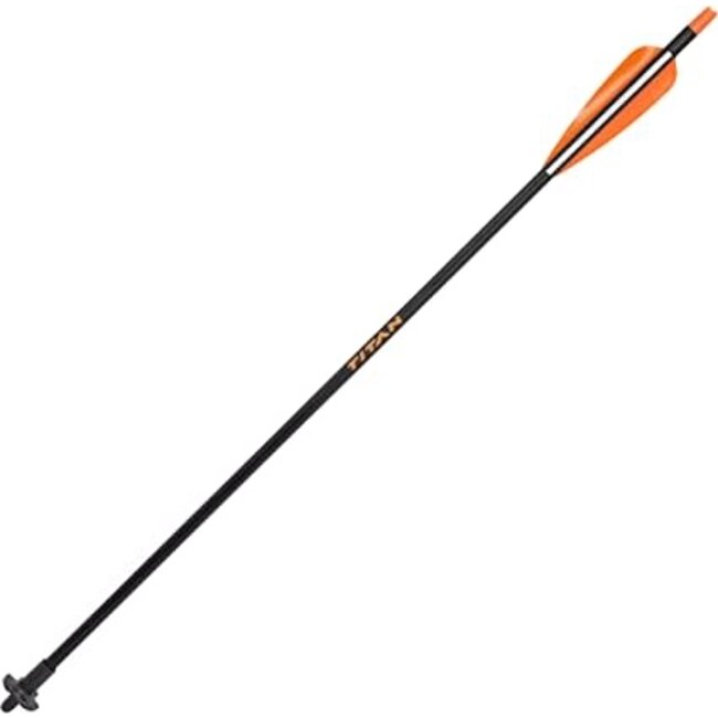 Allen Crossbow Disarming Arrow