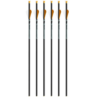 Ravin Flèche D’Arbalète Ravin R500 .003 6/Pqt