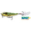 Live Target Frog Popper 3''