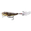 Live Target Frog Popper 3''
