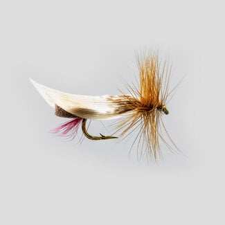 NEPTUNE Neptune Miracle Foam Body Dry Fly Brown Hook #10
