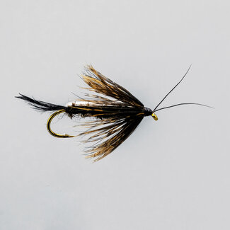 NEPTUNE Mouche Neptune Nymphe Black 13A Hameçon #12