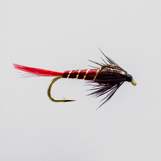 Neptune Montreal Nymph Hook #12