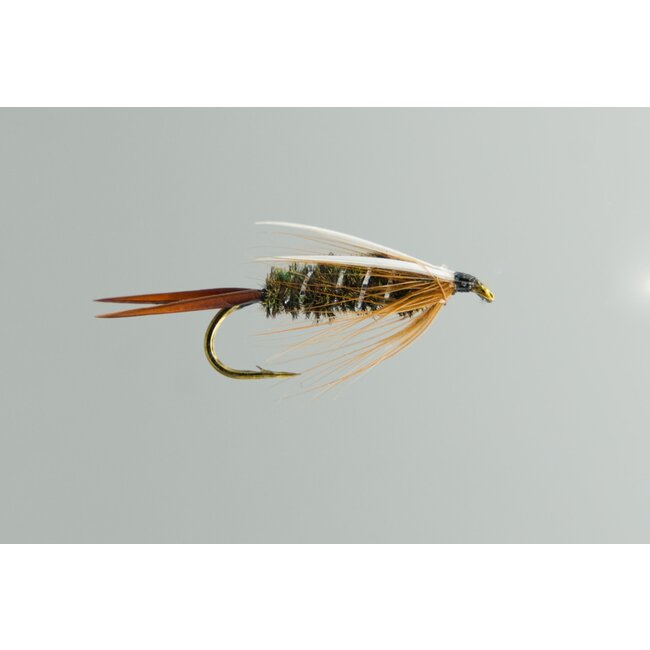 Neptune Prince Nymph Hook #10