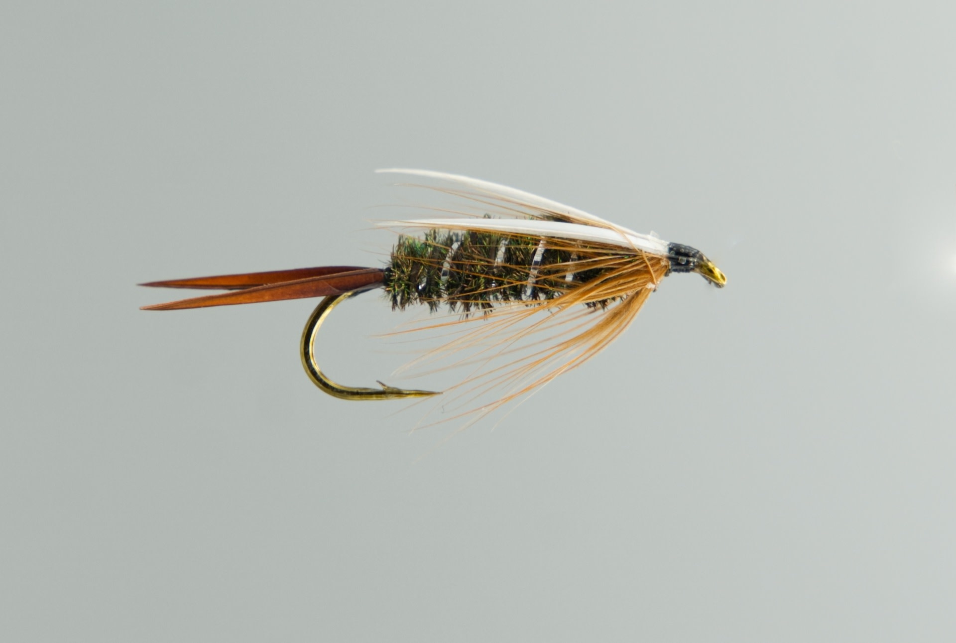 mouche pg 14 bl h16 jmc/mouche de charette - mouches - Les Semailles mouche pg 14 bl h16 jmc/mouche de charette - mouches - Les Semailles