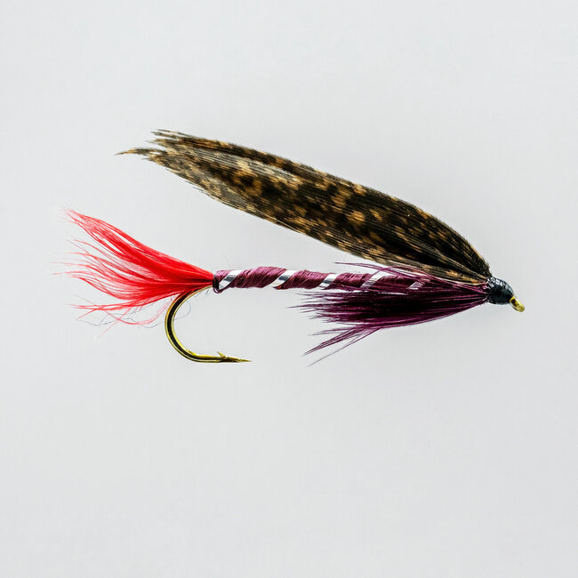 Mouche Neptune Streamer Dark Mtl Hameçon #8