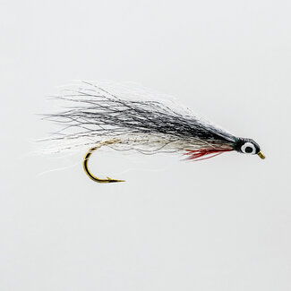 NEPTUNE Neptune Shinner Streamer Hook #6