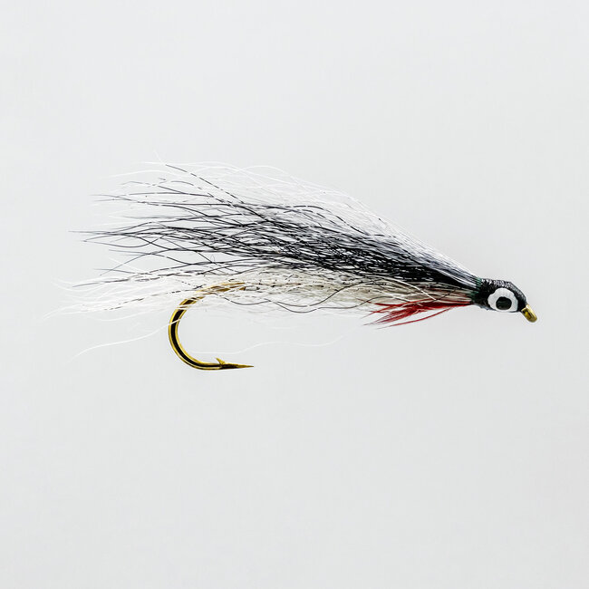 Neptune Shinner Streamer Hook #6