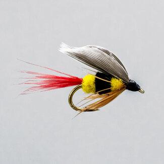 NEPTUNE Neptune Bee Wet Fly Hook #10
