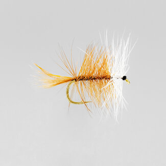 NEPTUNE Mouche Sèche Neptune Bivisible Brown Hameçon #12