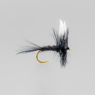 NEPTUNE Neptune Black Gnat Dry Fly Hook #12