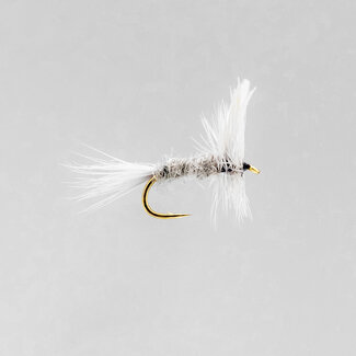 NEPTUNE Neptune Blue Dun Dry Fly Hook #12